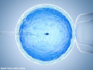 专业拉拉代怀助孕费用多少